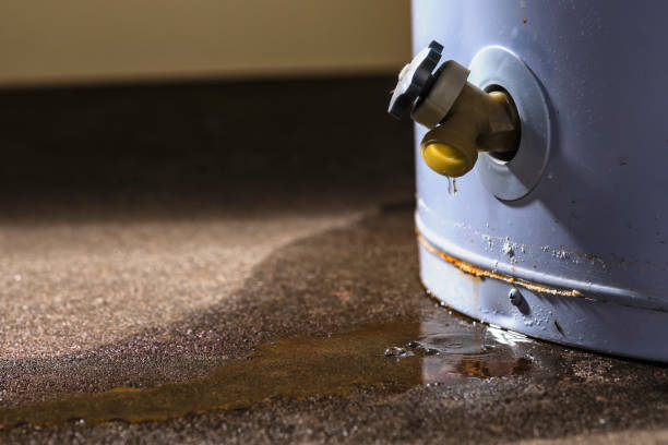 Best Sewage cleanup and water damage restoration  in Mercer Island, WA