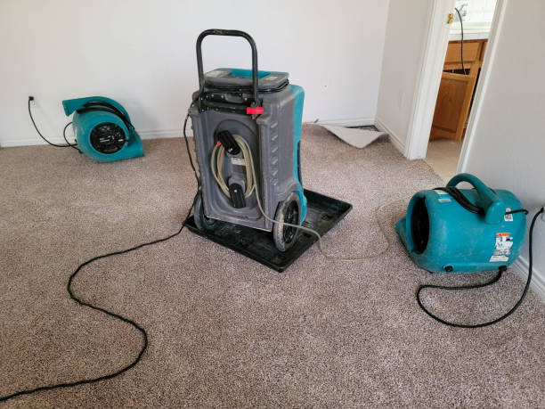 Best Mold removal after water damage  in Mercer Island, WA