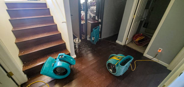 Best Local water damage restoration  in Mercer Island, WA
