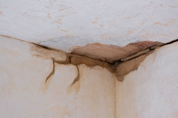 Best Water damage restoration mold remediation  in Mercer Island, WA