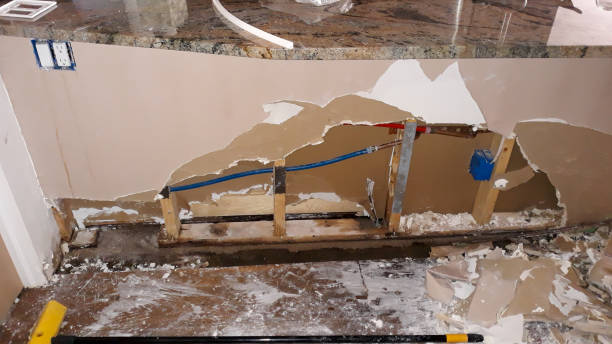 Best Basement water damage restoration  in Mercer Island, WA