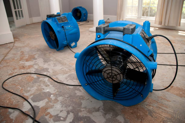 Trusted WA Water damage restoration Experts
