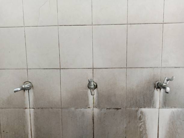 Best Professional water damage repair  in Mercer Island, WA