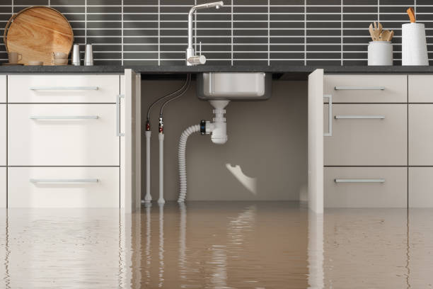 Best Carpet water damage restoration  in Mercer Island, WA