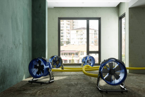 Best 24-hour water damage restoration  in Mercer Island, WA